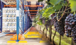 L'automatisation augmente l'efficacité et la sécurité dans le stockage des vins