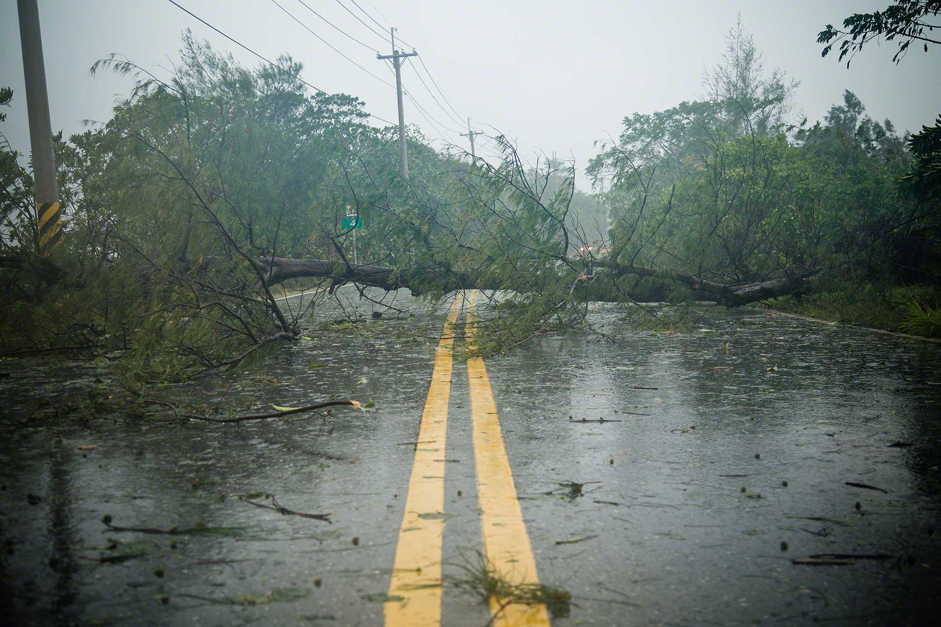 Toute perturbation peut entraîner des risques de ruptures de la chaîne d'approvisionnement Toute perturbation peut entraîner des risques de ruptures de la chaîne d'approvisionnement