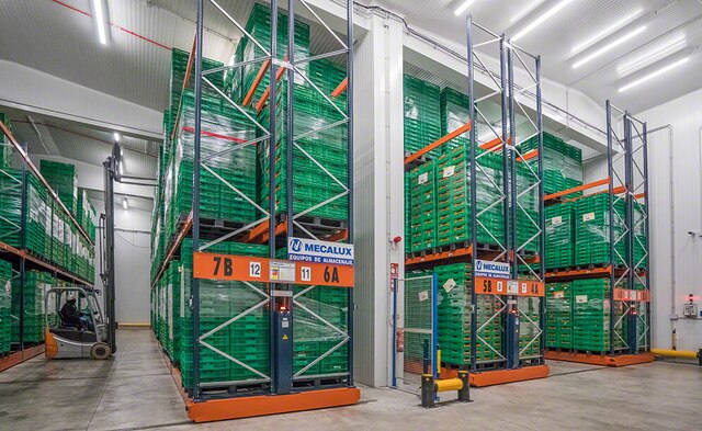 Entrepôt de Grupo Alimentario Citrus doté de plusieurs solutions de stockage