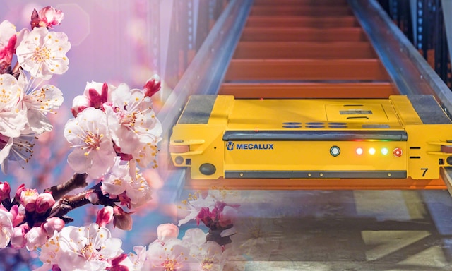 De Prado multiplie sa production avec le système Pallet Shuttle géré par Easy WMS De Prado multiplie sa production avec le système Pallet Shuttle géré par Easy WMS