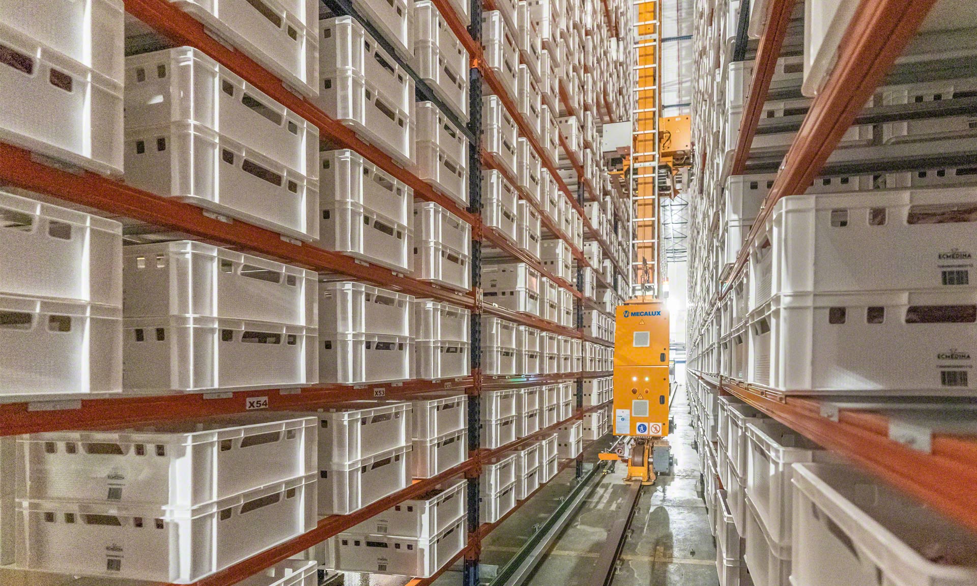 Elaborados Cárnicos Medina : 30 millions de kg/an de viandes dans un bufer automatique Elaborados Cárnicos Medina : 30 millions de kg/an de viandes dans un bufer automatique
