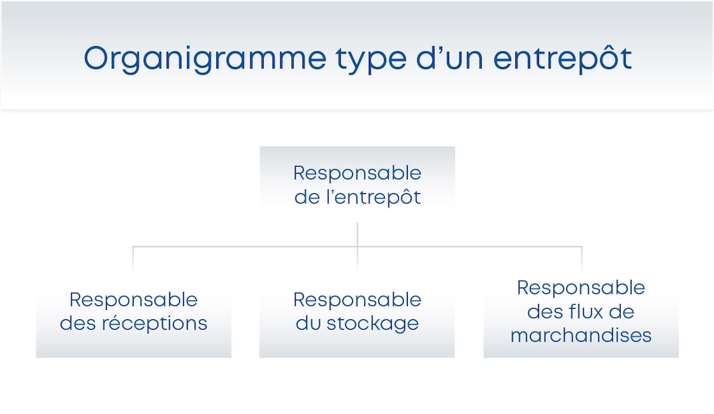 Un organigramme d’entrepôt doit être adapté à l’entreprise pour améliorer la communication interne