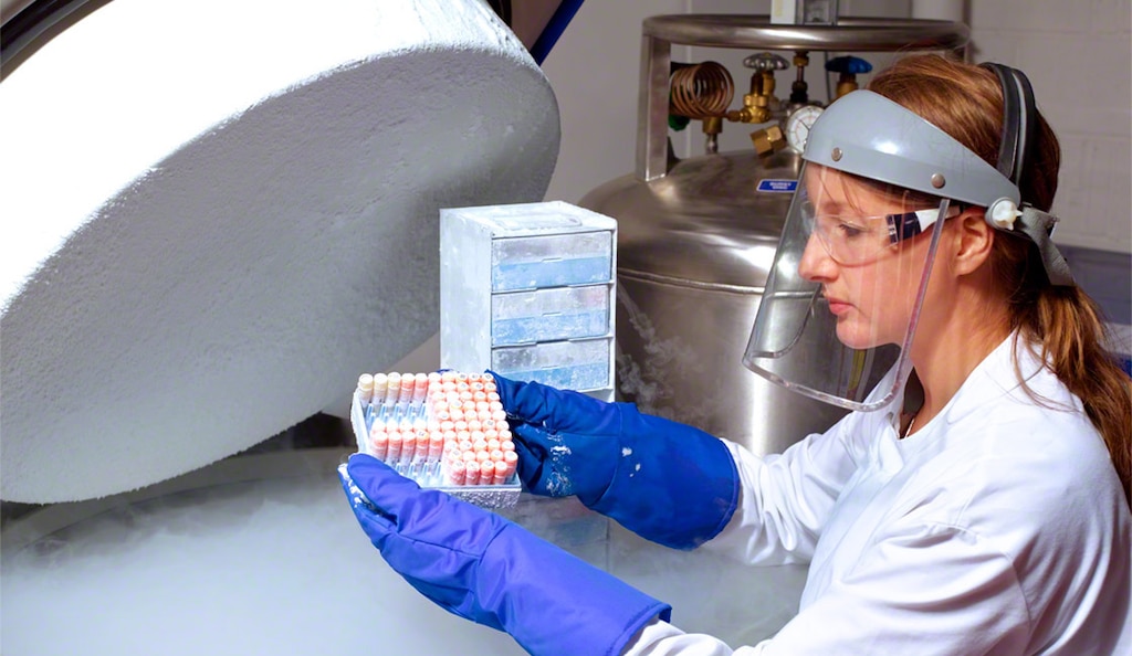 Un entrepôt cryogénique est une installation conçue pour fonctionner à des températures ultra-basses
