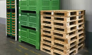 Nous recensons 6 sous-catégories de palettes de confection différente : bois, carton, plastique, polystyrène, métal et moulées