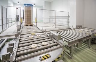 Les convoyeurs à rouleaux en acier inoxydable offrent une excellente résistance à la corrosion