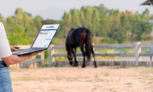 L’entreprise agricole Canagri améliore ses performances avec Easy WMS