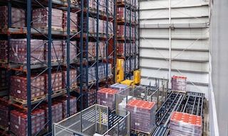 Grupo Rica inaugure le premier entrepôt automatique pour palettes en République Dominicaine